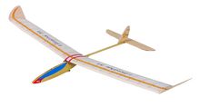 Glider Lilienthal 31 AN-109000 Aero-naut 1