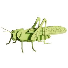 3D Paper model - Grasshopper FRI-11608 Fridolin 1