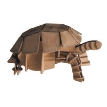3D Paper model - Tortoise FR-11625 Fridolin 1
