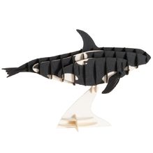 3D Paper model - Orca FR-11634 Fridolin 1