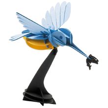 3D Paper model - Kingfisher FRI-11676 Fridolin 1
