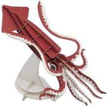 3D Paper model - Squid FR-11743 Fridolin 1