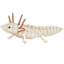 3D Paper model - Axolotl FR-11755 Fridolin 1
