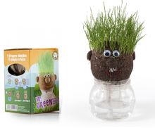 Mr GREEN - grass kit RC-015417 Radis et Capucine 1