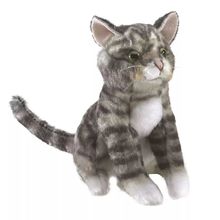 Finger puppet Tabby Cat FO-2791 Folkmanis 1