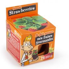 I grow my Strawberry RC-027913 Radis et Capucine 1