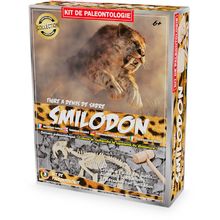 Excavation Kit - Smilodon UL2827 Ulysse 1
