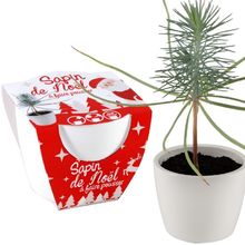 White ceramic pot 8 cm - Christmas tree RC-032835 Radis et Capucine 1