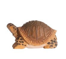 Wudimals Tortoise WU-40704 Wudimals 1