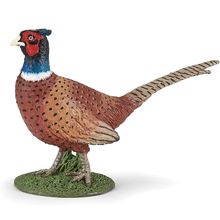 Pheasant figurine PA-50263 Papo 1