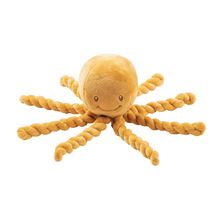 Octopus ocher NA877534 Nattou 1