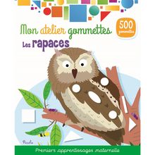 Colored stickers - The birds of prey PI-7248 Piccolia 1