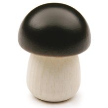 Yellow Boletus ER12260 Erzi 1