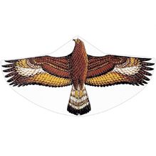 Golden Eagle Kite GU-1146 Günther 1