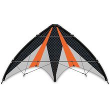Air Sport Synergy 125 GX kite GU-1028 Günther 1
