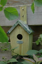 Nest box green ED-NKGG Esschert Design 1