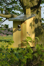 Nest box observation ED-NKO Esschert Design 1