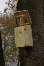 Nest box mirror ED-NKY Esschert Design 1