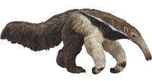 Anteater figure PA50152-3611 Papo 1