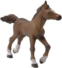 Anglo Arab colt figure PA51076-2952 Papo 1