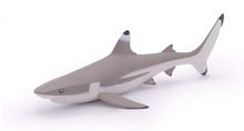 Blacktip reef shark figure PA56034 Papo 1