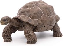 Galapagos tortoise figurine PA50161-3929 Papo 1