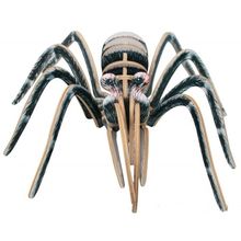 Spider model DAM002-2614 Bones & More 1