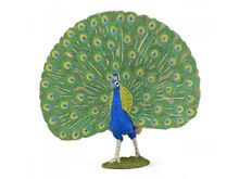 Peacock figure PA51161-3519 Papo 1