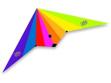 Delta kite with double handle V02947-4252 Vilac 1