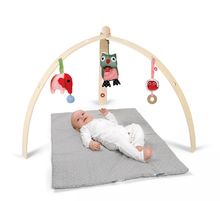 Baby spyder wood gym F&F1401-4001-4402 Franck & Fischer 1