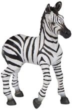 Zebra foal figure PA50123-4551 Papo 1