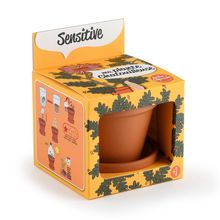 I grow my Mimosa RC-025965 Radis et Capucine 1