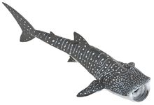 Whale Shark Figurine PA56039 Papo 1