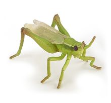 Grasshopper figure PA-50268 Papo 1