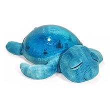 Tranquil Turtle - Aqua CloudB-7423-AQ Cloud b 1