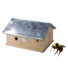 Bumble bee house ED-WA08 Esschert Design 1