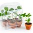 Mini greenhouse - Strawberries RC-033237 Radis et Capucine 2