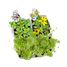 Mini garden RC-034139 Radis et Capucine 6