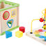 Insect Motor Skills Training Cube LE10074 Small foot company 3