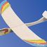Bird Glider AN-100800 Aero-naut 2