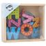 Colourful Magnetic Letters LE10732 Small foot company 5