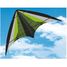Neon Loop kite GU-1077 Günther 3