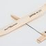 Glider Lilienthal 40 RC AN-108400 Aero-naut 4