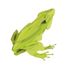 3D Paper model - Frog FR-11609 Fridolin 3