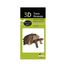 3D Paper model - Tortoise FR-11625 Fridolin 2