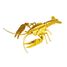 3D Paper model - Lobster FR-11629 Fridolin 1