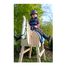 Wooden Horse LE11664 Small Foot company 3