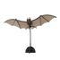 3D Paper model - Bat FR-11673 Fridolin 1