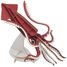 3D Paper model - Squid FR-11743 Fridolin 1