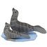 3D Paper model - Seals FR-11748 Fridolin 1